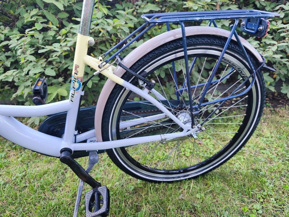 Rower Alpina 24 cali