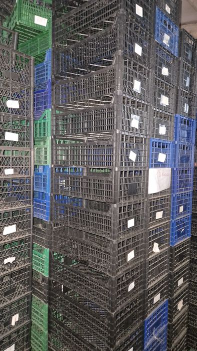 Ящик пластиковий, ящик фрукти овочі,тара