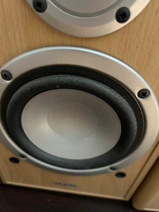 Tonsil Feniks Kino domowe