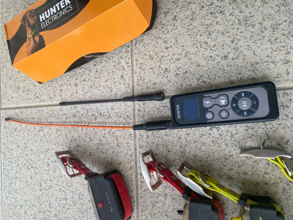 Coleiras gps com função de treino