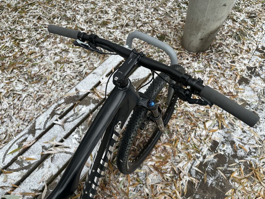 Specialized Epic Comp Brain 29 Carbon XL