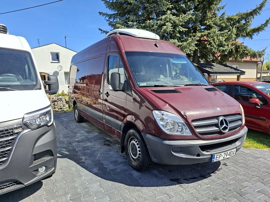 Chłodnia Sprinter 315