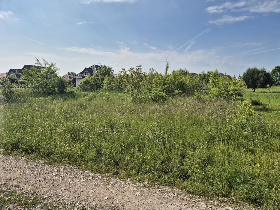 Mulczer wgłębny i powierzchowny leśny wycinka drzew czyszczenie działe