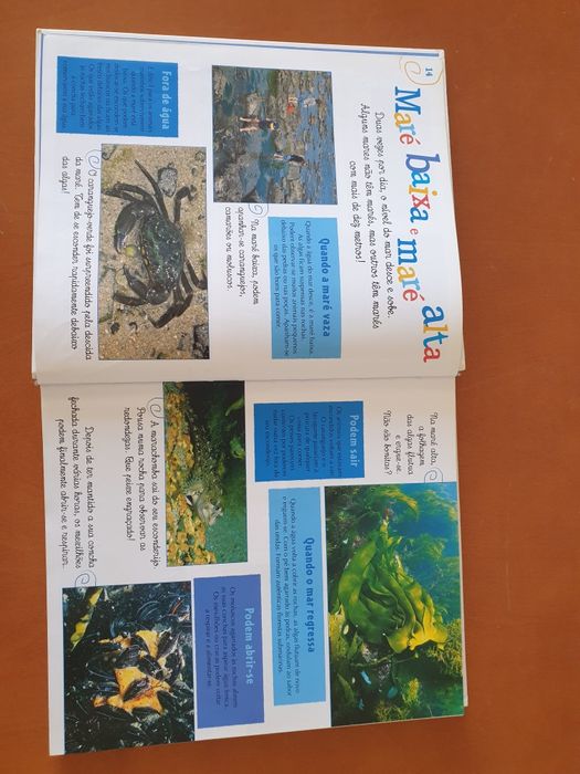 A minha enciclopédia dos oceanos