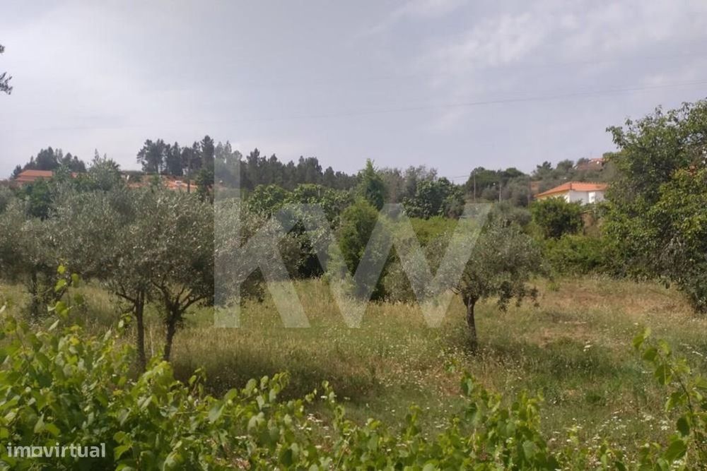 Terreno 4320 m2 Urbanizável - Entrevinhas, Sardoal — Sardoal, Santarém