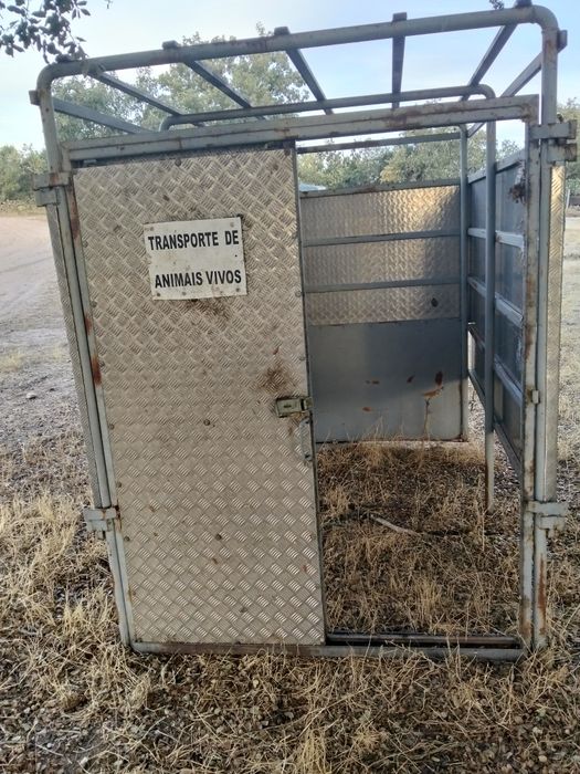 Caixa de transporte de animais