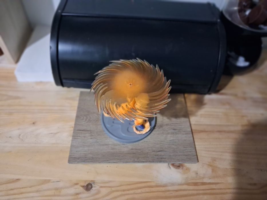 Kuririn do dragon ball
