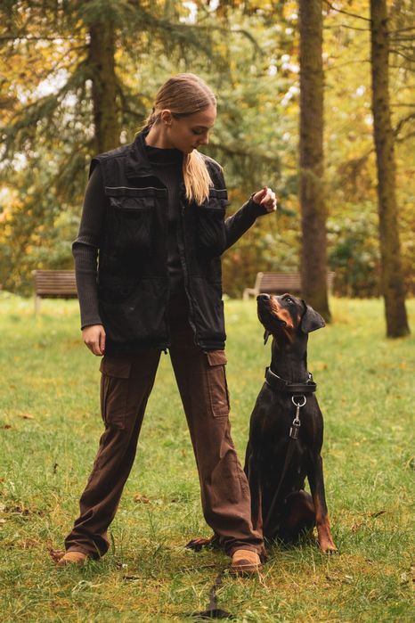 Trening psów Kraków
