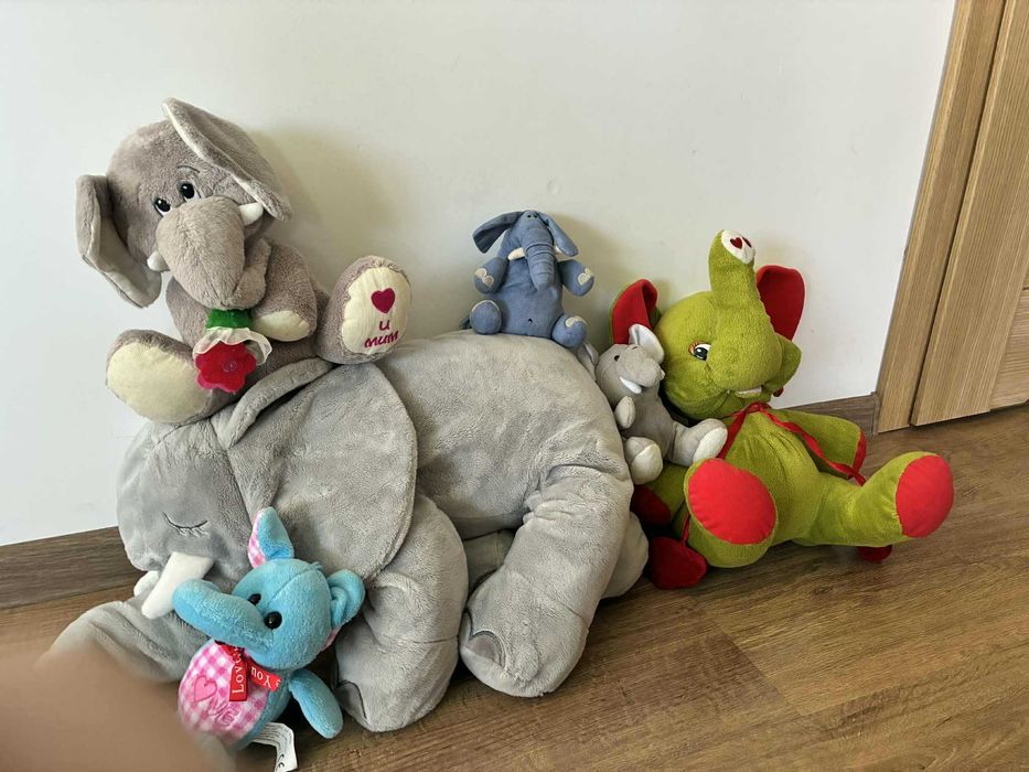 duża rodzinka słoni