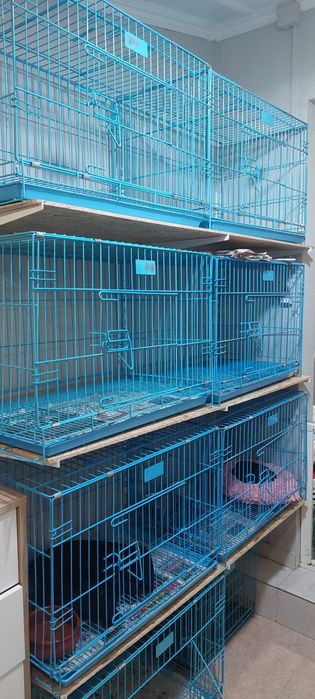 Gaiolas para cães com limpeza facio