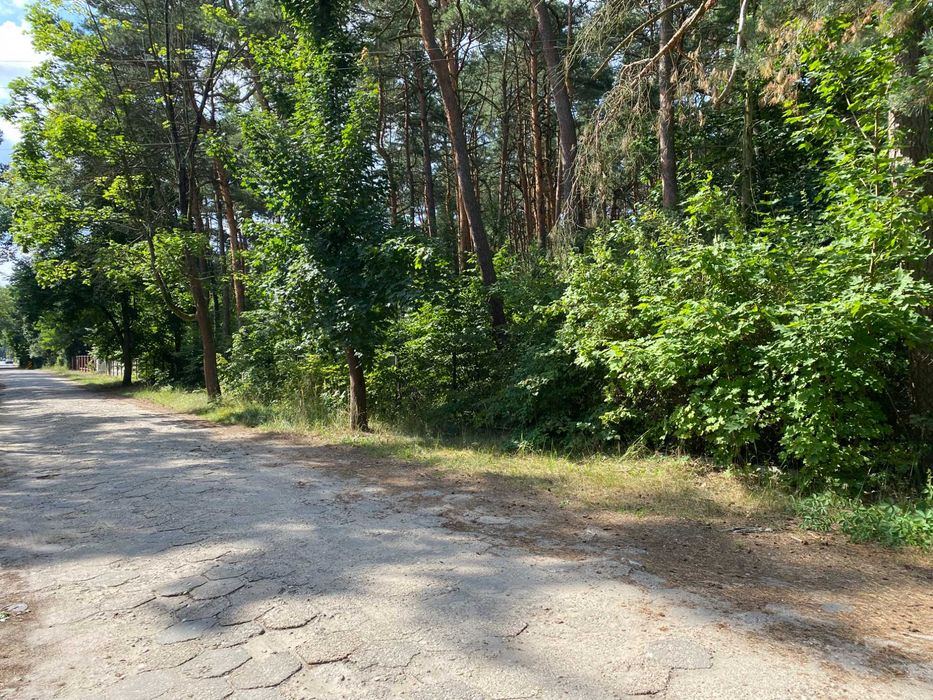 Działka Budowlana Żarki Letnisko - Widok 3