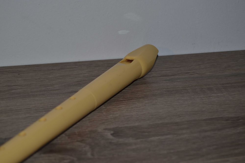 Flauta de Bisel (Nova)