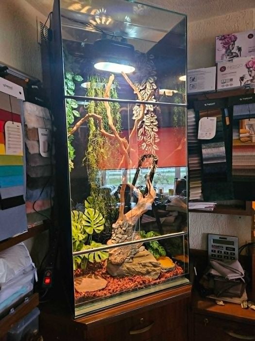 Wysokie terrarium dla węża jaszczurki