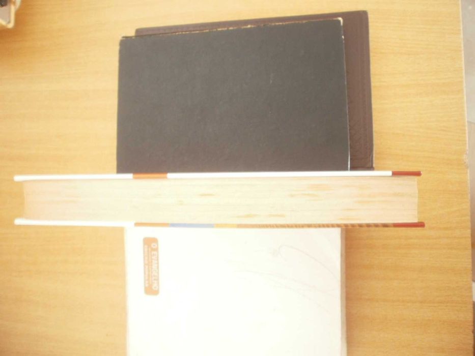 Tieta do Agreste, vol. I de Fernando Namora