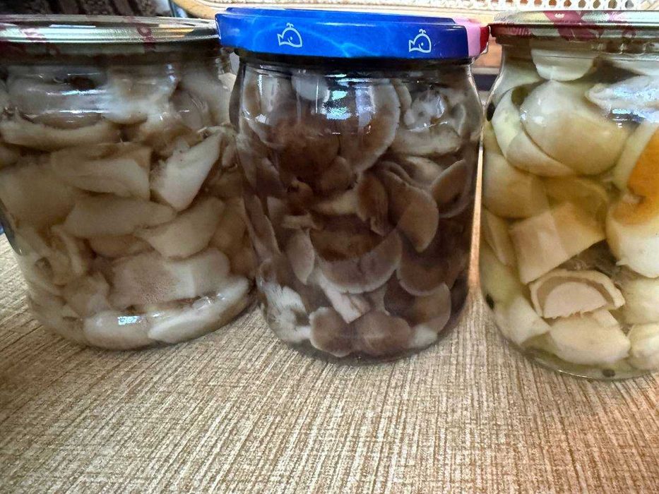 Гриби білі, опеньки, маслята мариновані