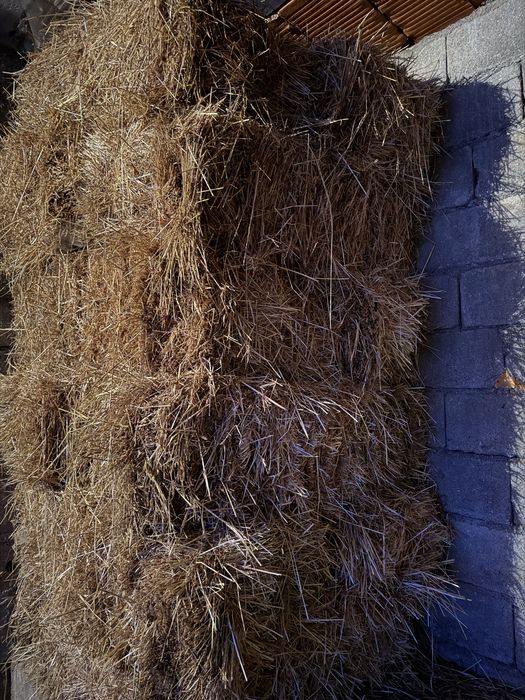 Fardos de Palha - 2025