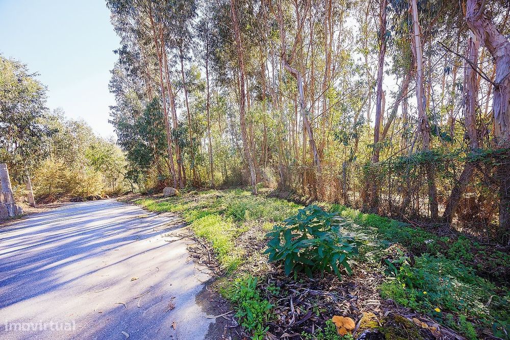 Terreno  para venda — Termas De São Vicente, Porto