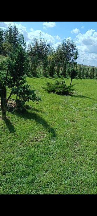 Продам ділянку під лісом
