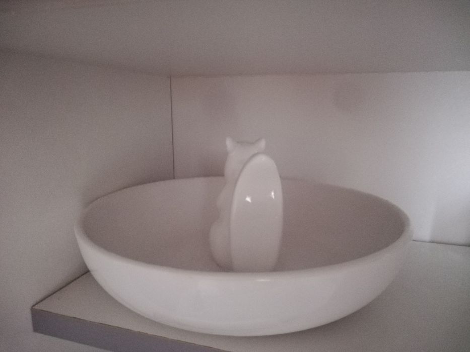 Prato com esquilo437357189667246083