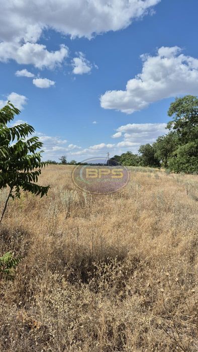 Продам земельну ділянку 240 соток (2,4 га) фасад с.Прилиманське
