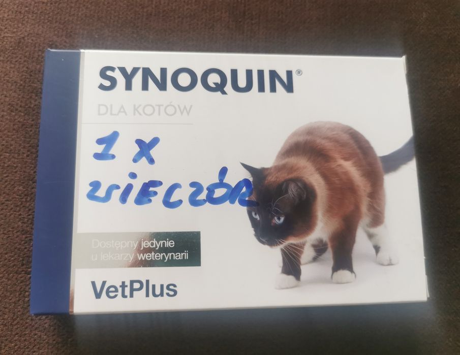 Synoquin Cat 25 kapsułek - suplement na stawy