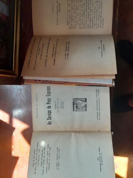 Livros juvenis do oeste americano