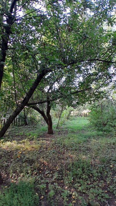Приватний будинок в Машівці