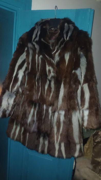 Futro skunksa futro skunksów unikat