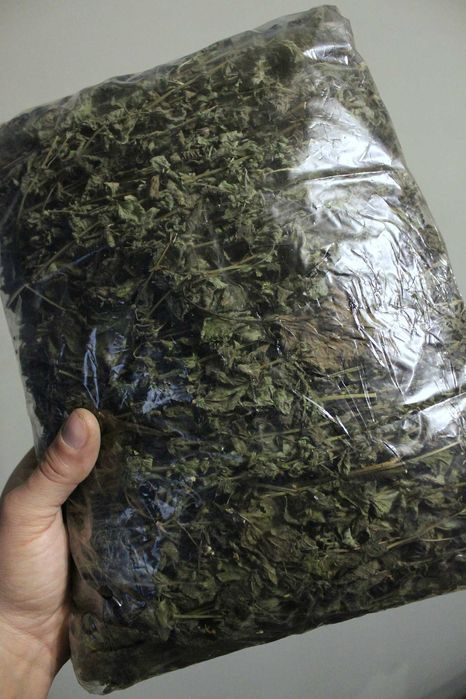 Мята Мелисса Сушеная (пакет 200 грамм)