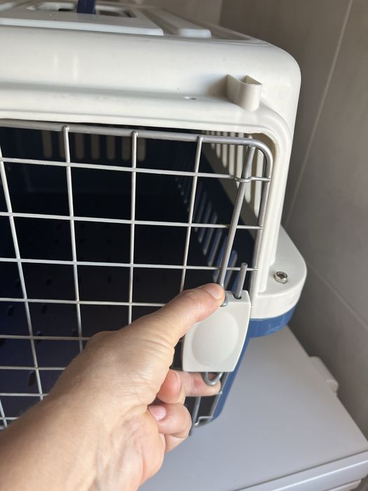 Caixa transportadora