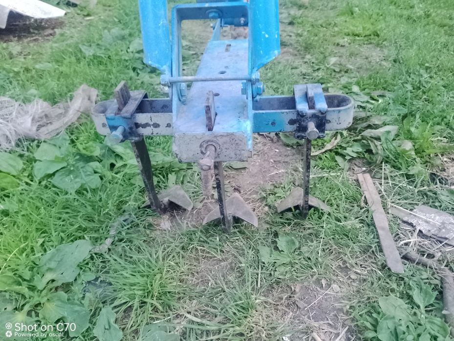 Плужок підгоритат