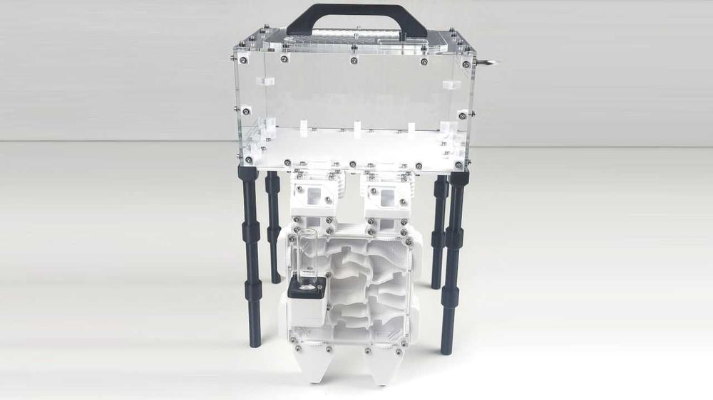 Модульний формікарій, мурашина ферма