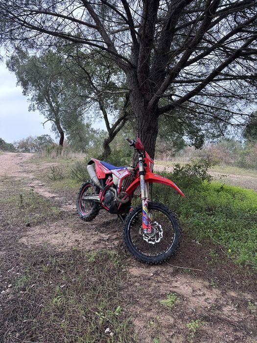 Beta 390 2022 matriculada
