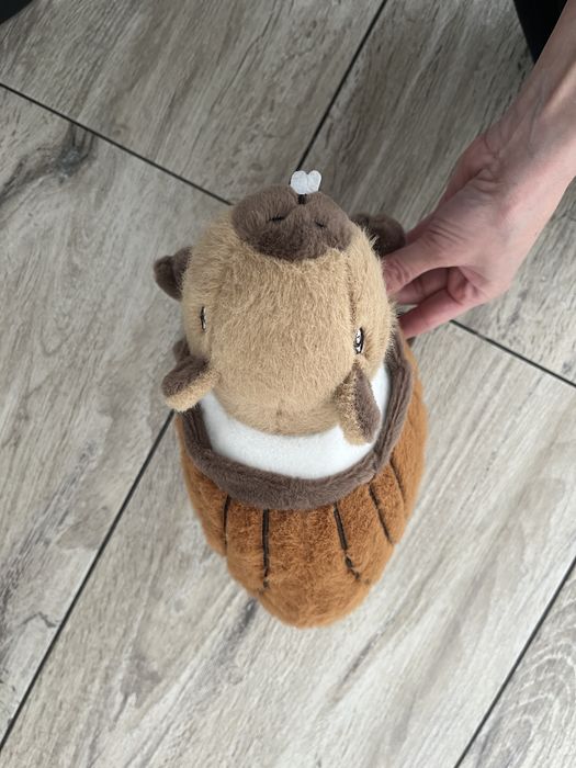 maskotka kapibara BRAINROT COCO-NUTO CAPIBARELLO pluszak capybara