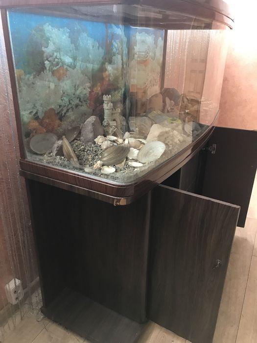 Акваріум на підставці