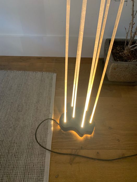 Artemis Reeds outdoor