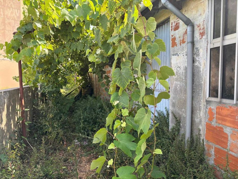 Dois prédios com lojas cave e terreno Paranhos