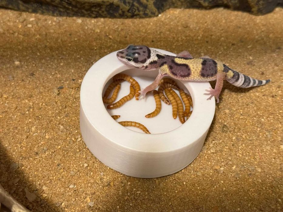 Karmnik w Terrarium Druk 3D PLA Jaszczurki Gady Pająki Ślimaki