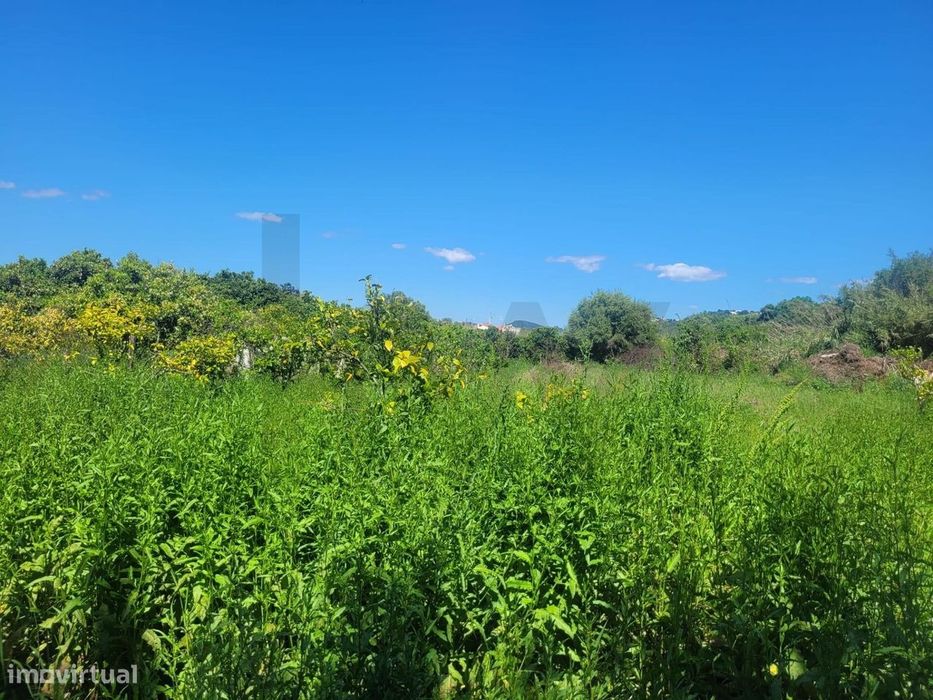 Terreno Rústico Plano, Com Área De 1790 M2, Sito Em Santo Estevão - Si — Silves, Faro