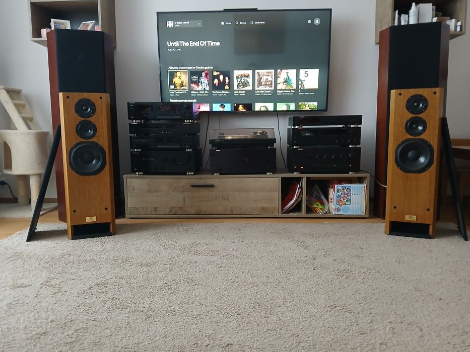 T+A criterion TMR60, linia transmisyjna