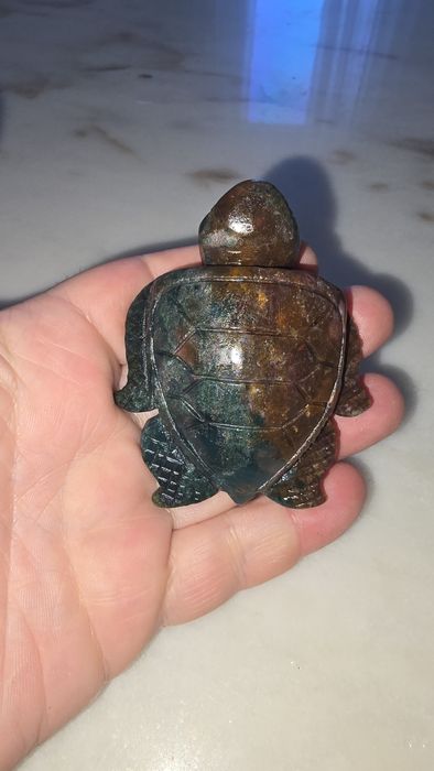 Ocean Jasper tartaruga