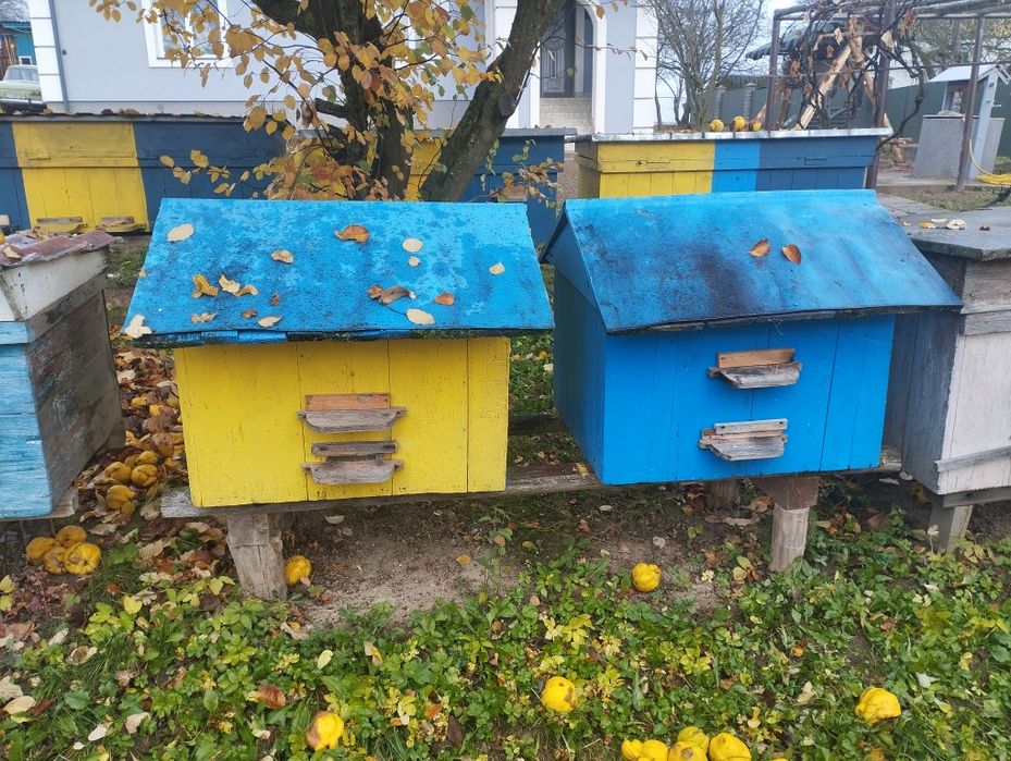 Пусті вулики,самовивіз