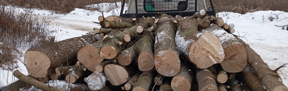 Drewno drzewo opałowe z transportem