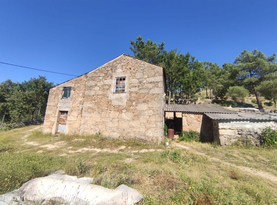 Quinta  Venda em Vela,Guarda