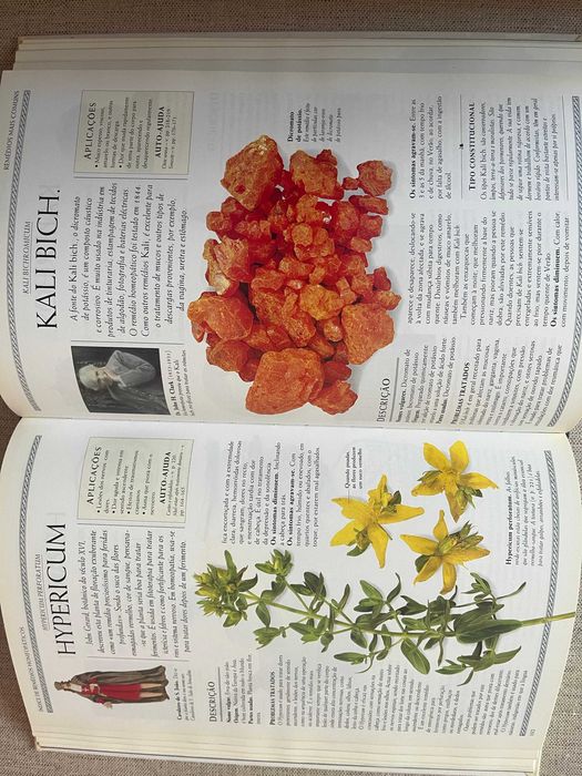 Guia completo de Homeopatia