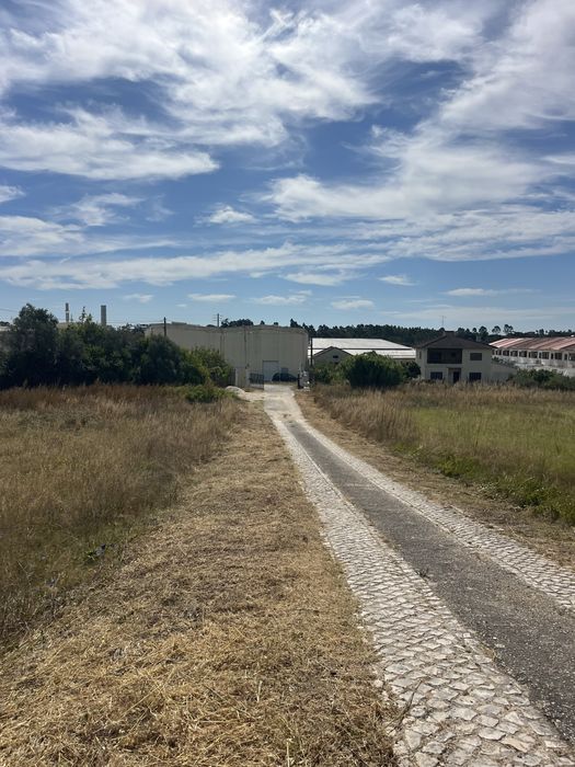 Limpeza de terreno