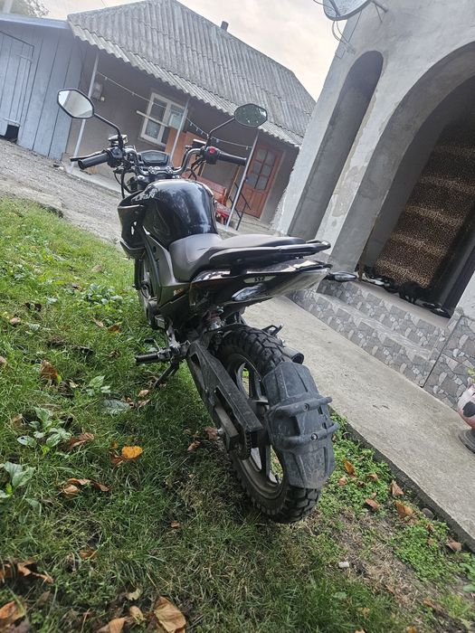 lifan jr 200 (lf 175 10e)