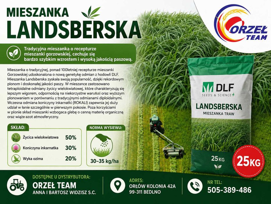 Mieszanka Landsberska Gorzowska mieszanki traw lucern materiał siewny