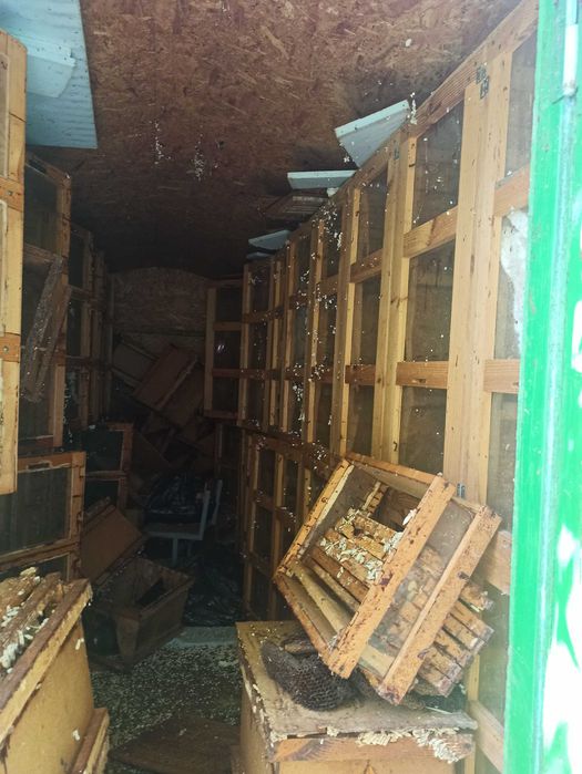 Продам бджолопавільйон