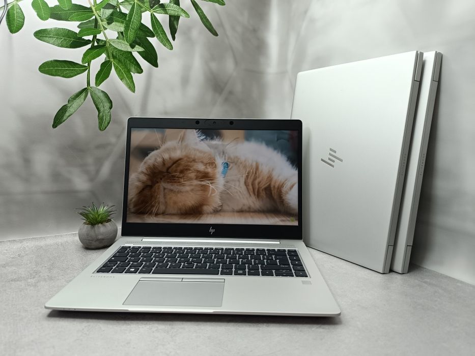 Ноутбук HP EliteBook 745 G6/Ryzen 3 Pro 3300U/8/256/14 " Full HD IPS